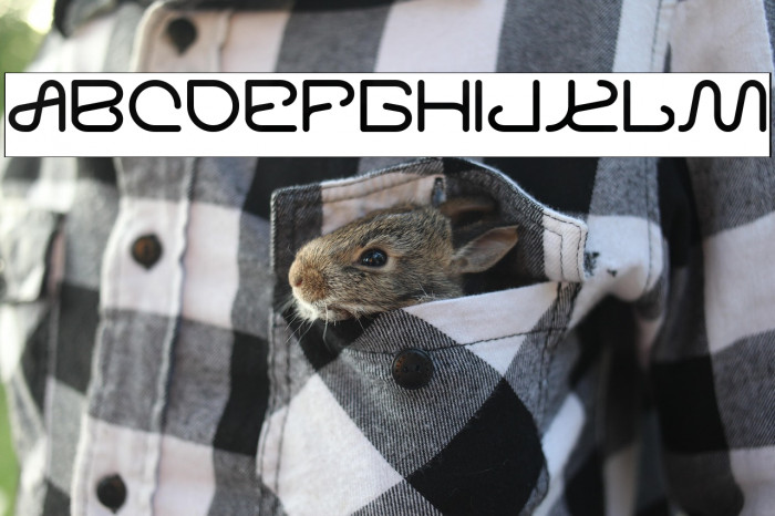 Letting The Cabble Sleep-Invers Example 1