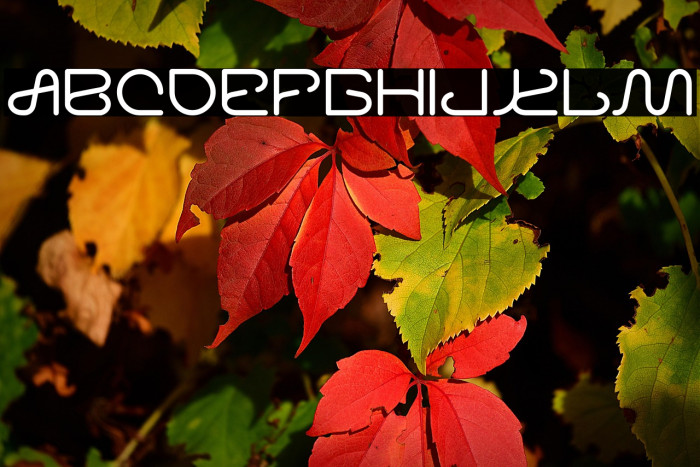 Letting The Cabble Sleep-Light Example 3