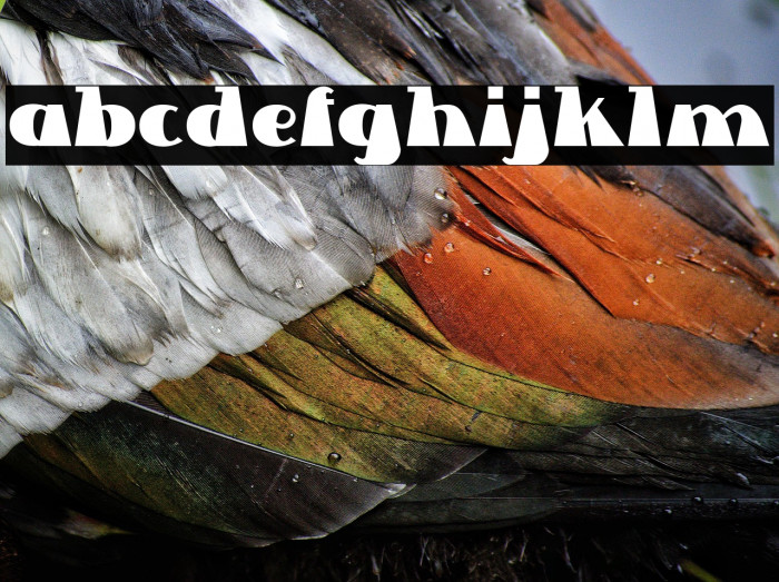 Lettre Dans Le Decor Example 2