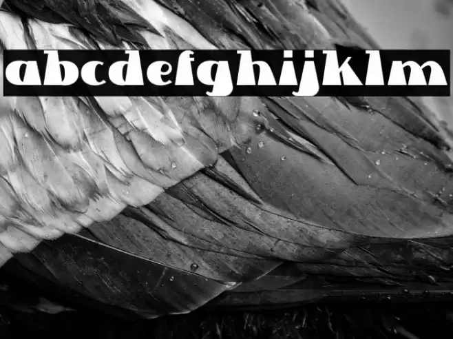 Lettre Dans Le Decor Font examples