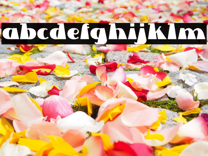 Lettre Dans Le Decor Example 3