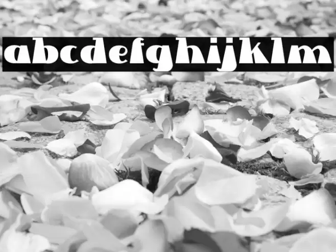 Lettre Dans Le Decor Font examples