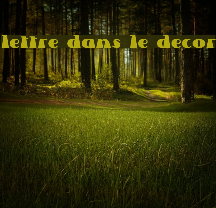 Lettre Dans Le Decor Font examples