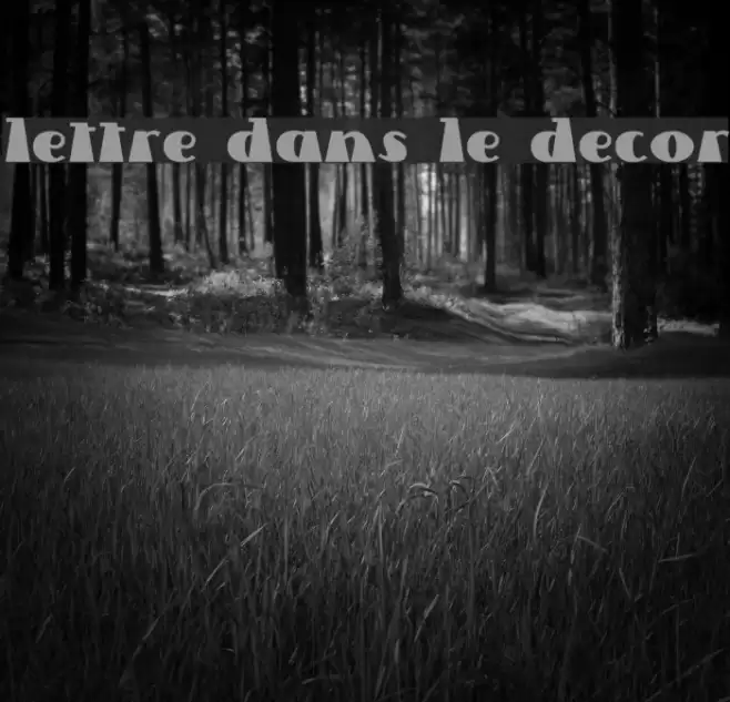 Lettre Dans Le Decor フォント examples
