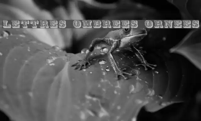 Lettres ombrees ornees Fuentes examples