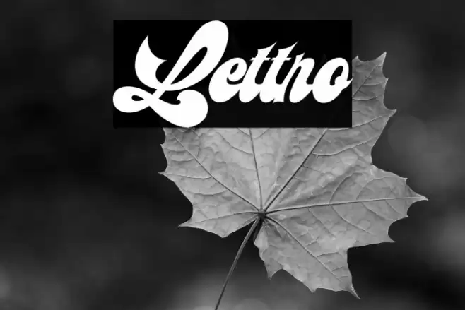 Lettro Font examples