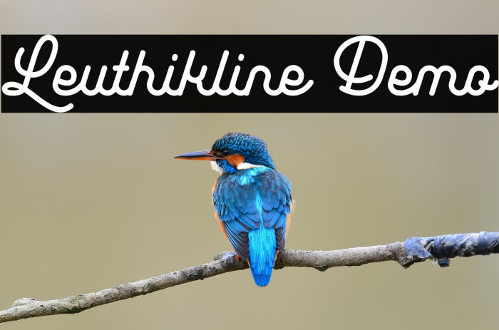 Leuthikline Demo Example 3