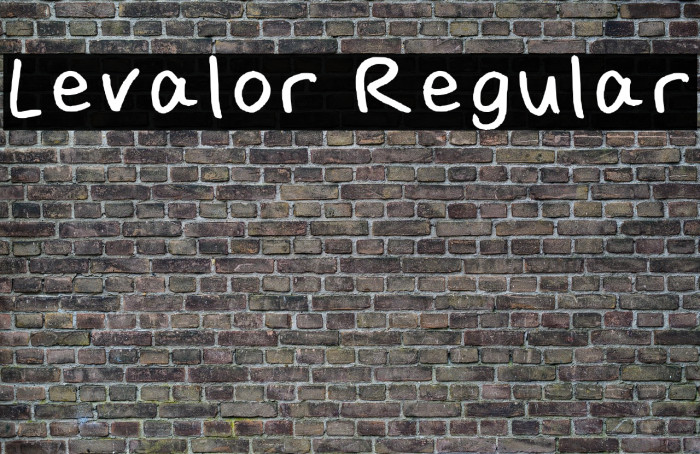 Levalor Regular Example 1