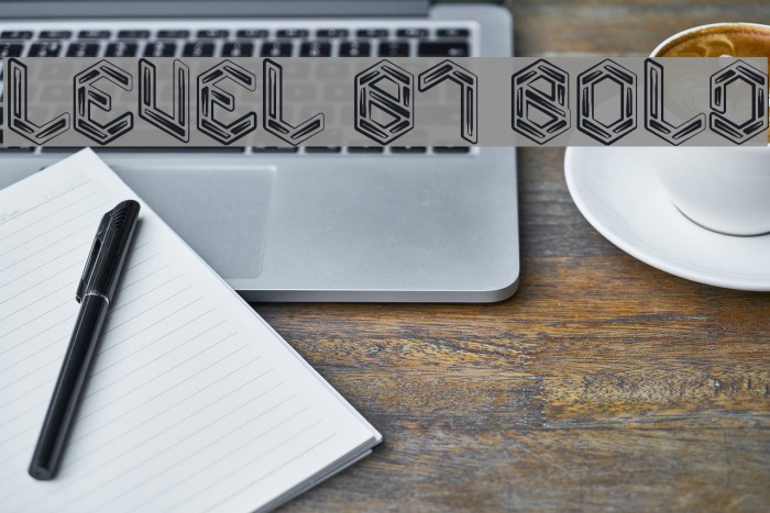 Level 01 Bold Font examples