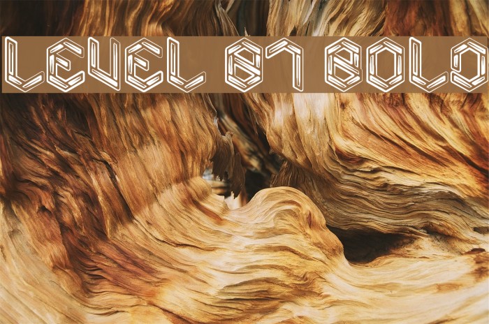 Level 01 Bold Font examples