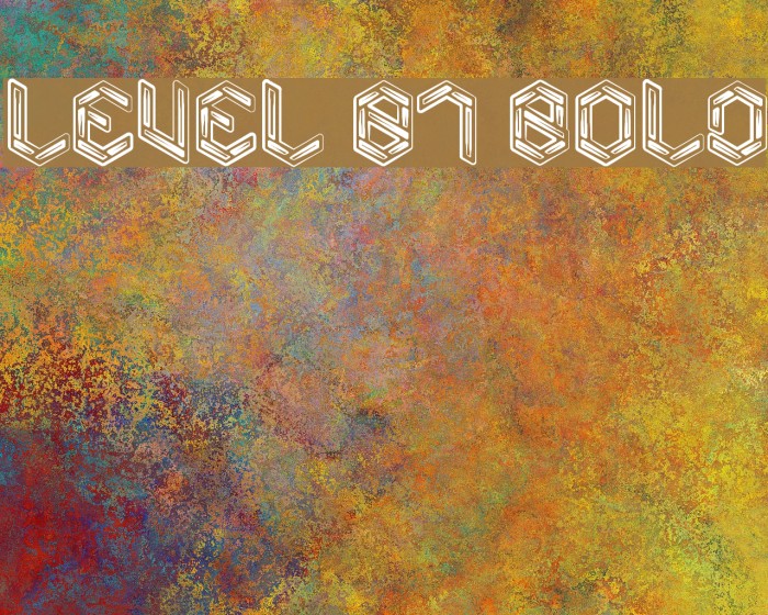 Level 01 Bold Font examples