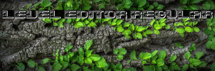 Level Editor Regular Example 3