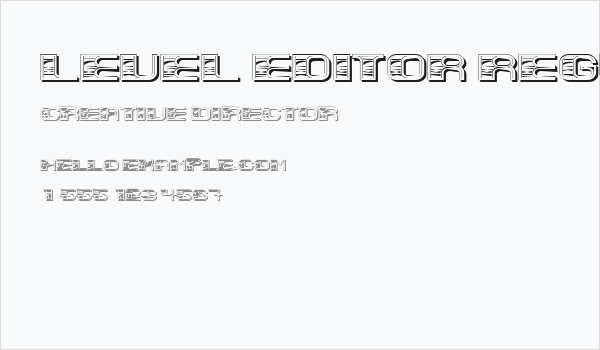 Level Editor Regular Business Card