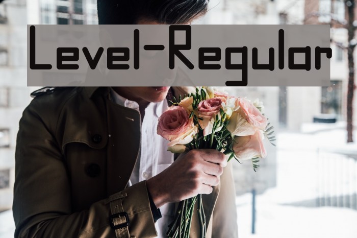 Level-Regular Font examples