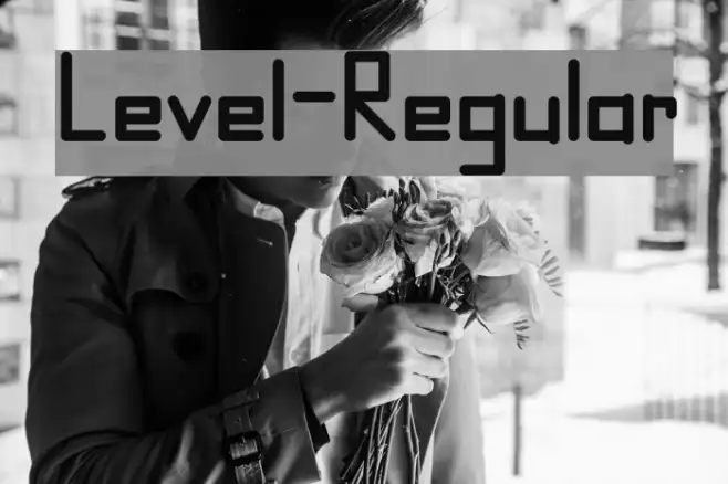 Level-Regular Example 3
