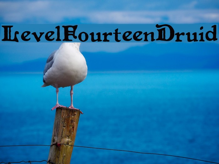 LevelFourteenDruid Font examples