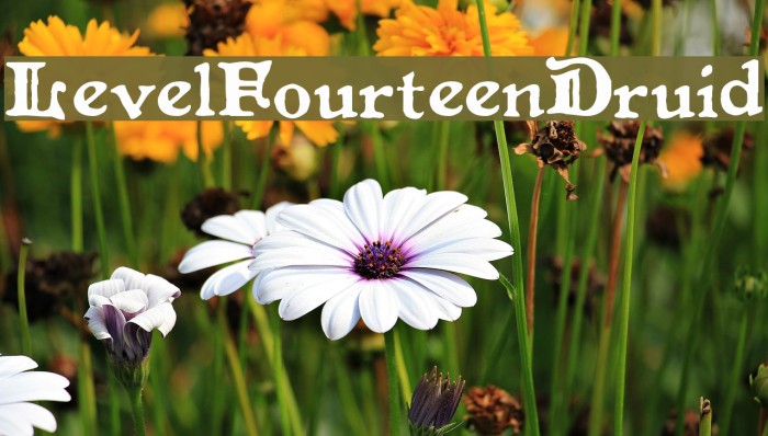 LevelFourteenDruid Font examples
