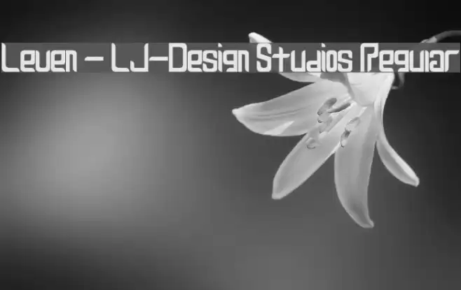 Leven - LJ-Design Studios Regular Font examples