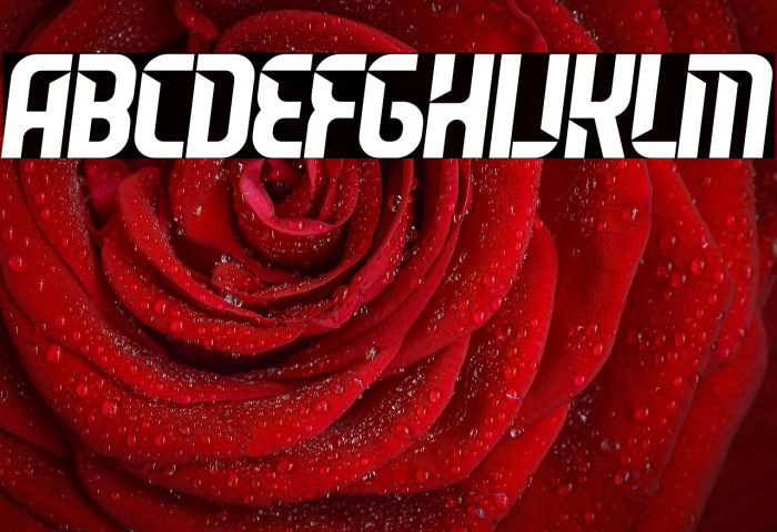 Leverkusen Free Personal Use 2 Example 1