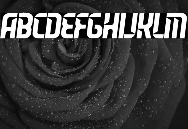 Leverkusen Free Personal Use 2 Example 1
