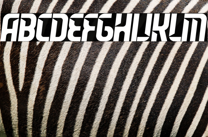 Leverkusen Free Personal Use 2 Example 2