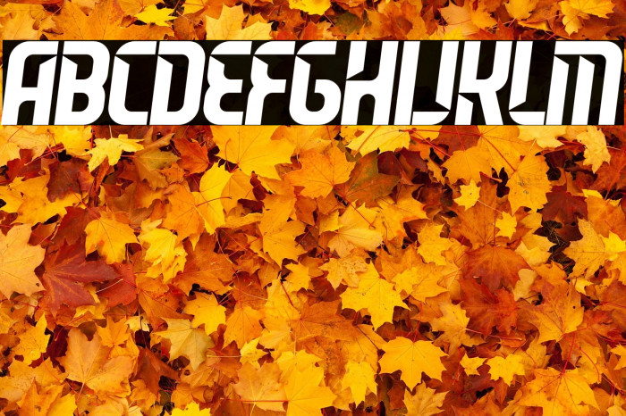 Leverkusen Free Personal Use 2 Example 3