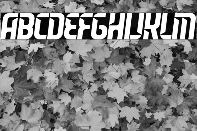 Leverkusen Free Personal Use 2 Example 3