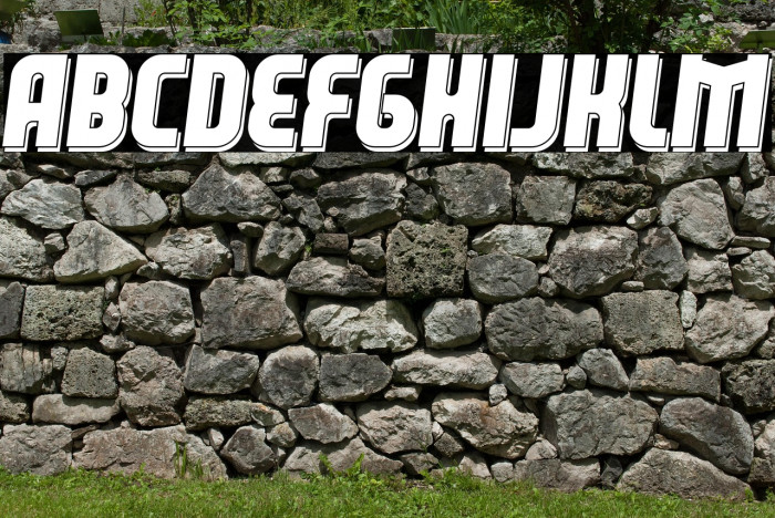 Leverkusen Free Personal Use 3 Example 2