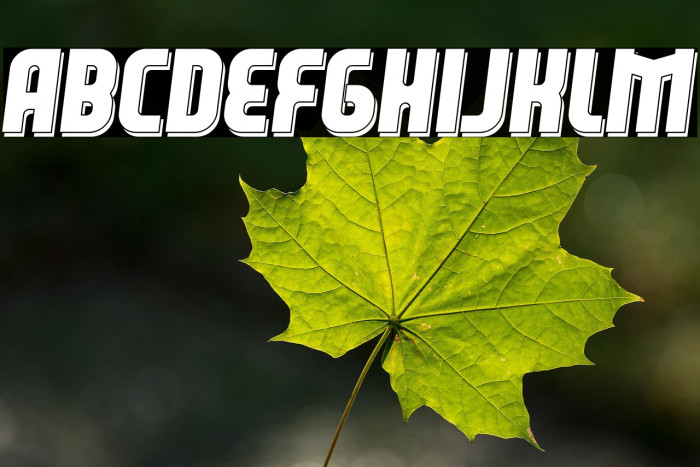 Leverkusen Free Personal Use 3 Example 3