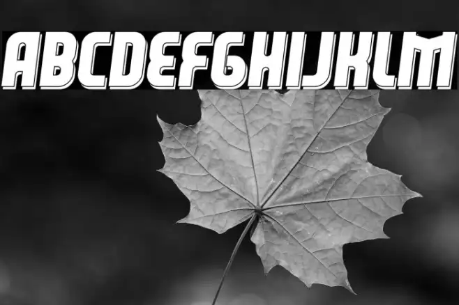Leverkusen Free Personal Use 3 Example 3