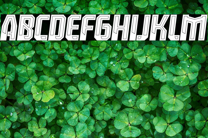 Leverkusen Free Personal Use 4 Example 1