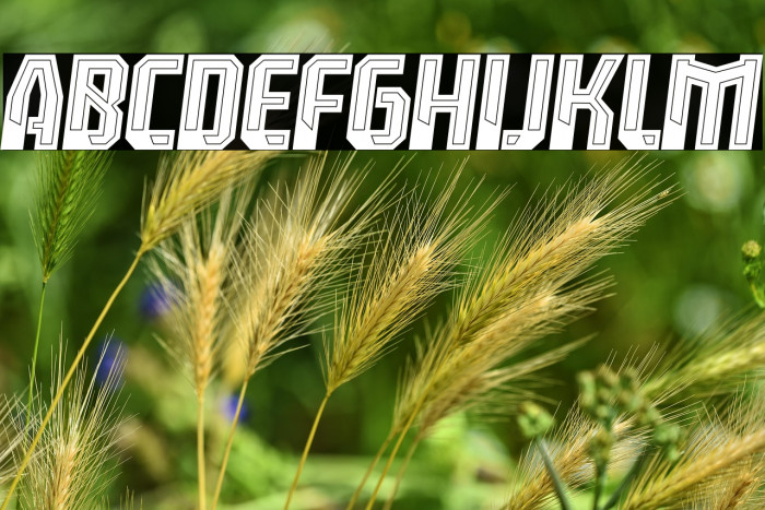 Leverkusen Free Personal Use 4 Example 3