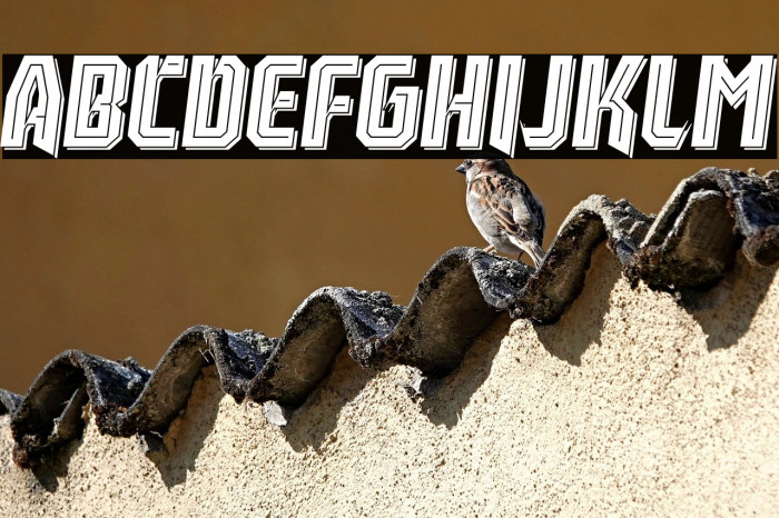 Leverkusen Free Personal Use 5 Example 1