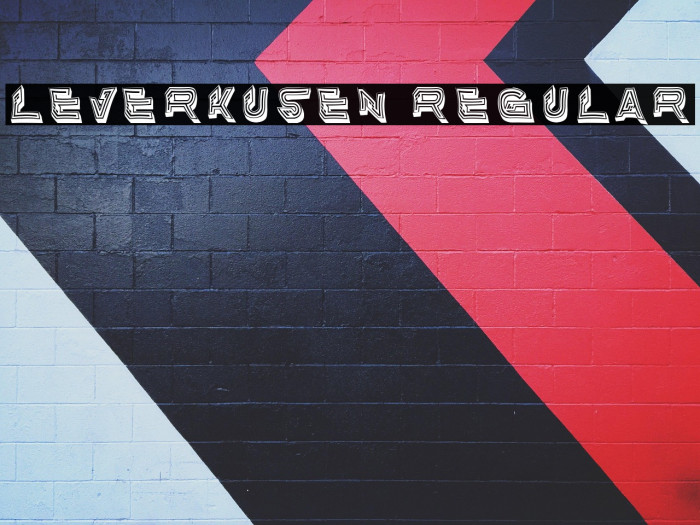 Leverkusen Regular Example 2