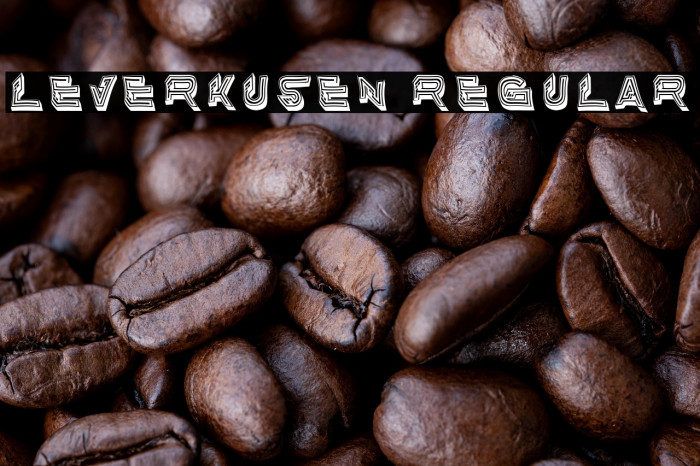 Leverkusen Regular Example 3