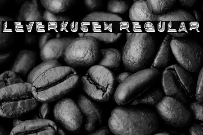 Leverkusen Regular Font examples