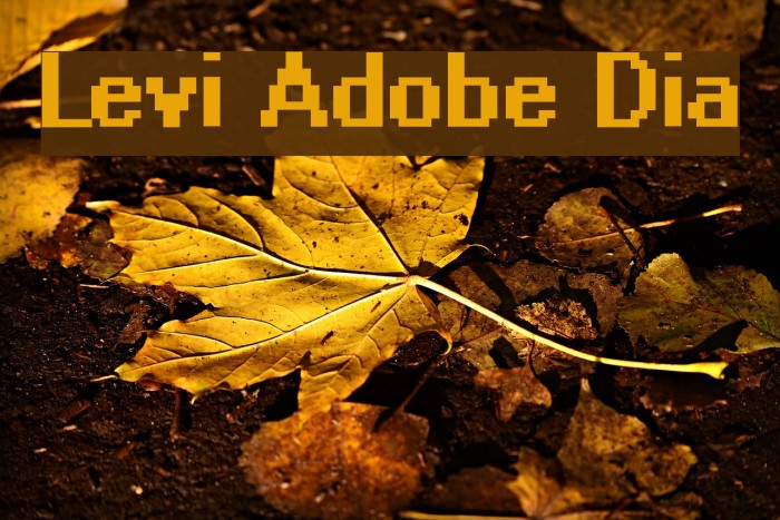 Levi Adobe Dia Font examples