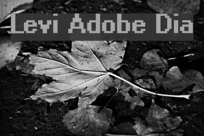Levi Adobe Dia Font examples