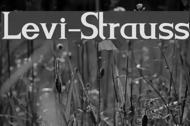 Levi-Strauss Font examples