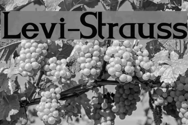 Levi-Strauss Font examples