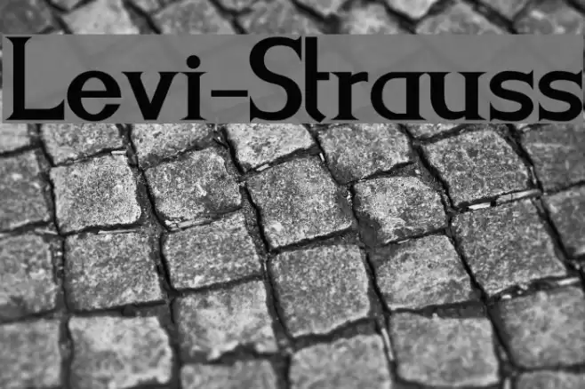 Levi-Strauss Font examples