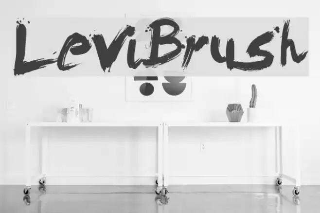 LeviBrush Font examples