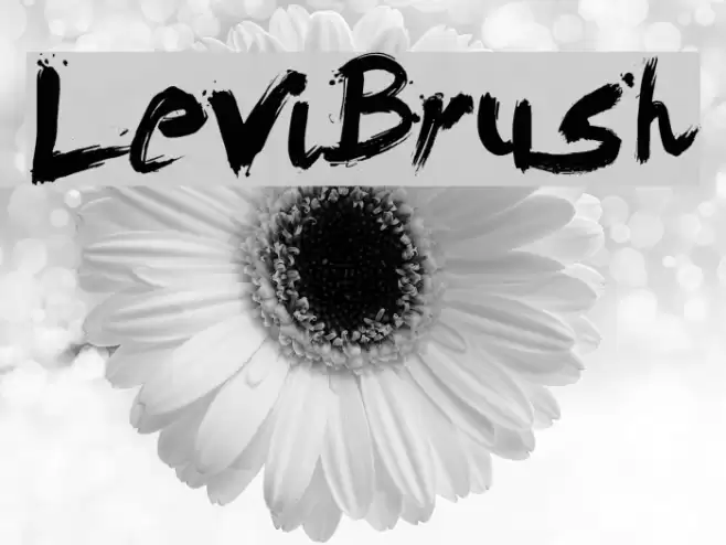 LeviBrush Font examples