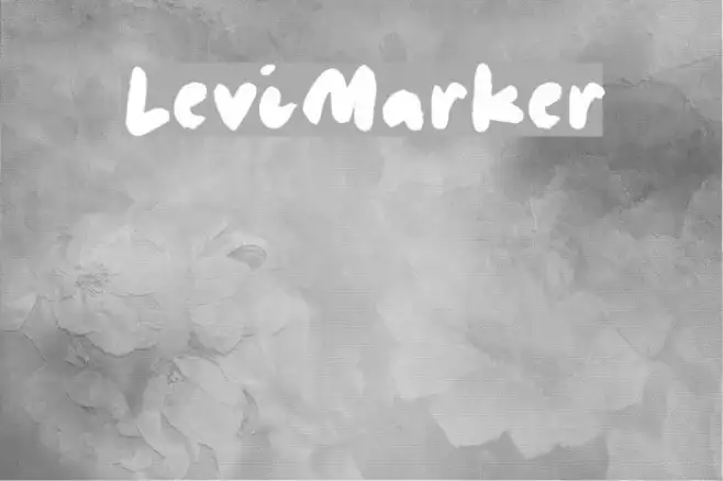 LeviMarker Example 1