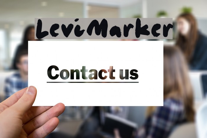 LeviMarker Font examples