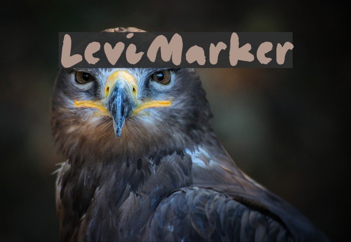 LeviMarker Font examples