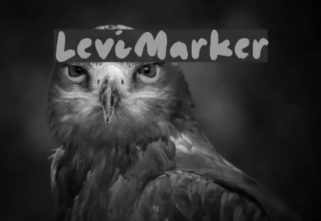 LeviMarker Example 3