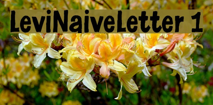 LeviNaiveLetter 1 Font examples