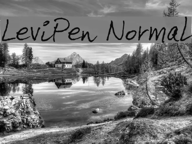 LeviPen Normal Example 1