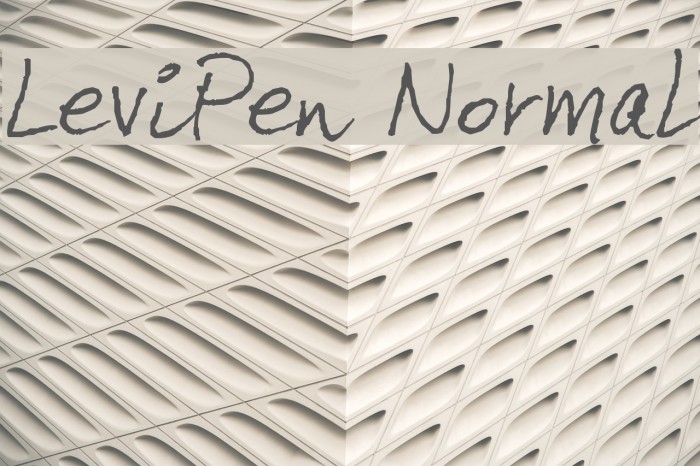 LeviPen Normal Font examples
